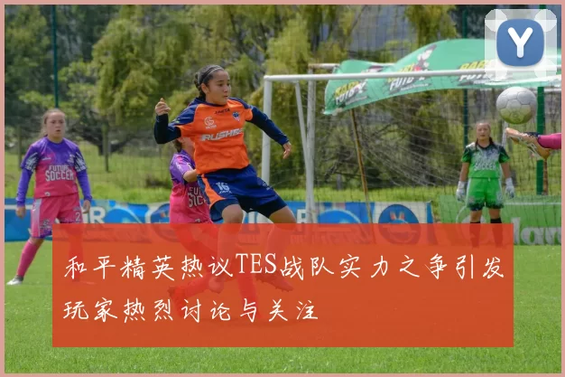 和平精英热议TES战队实力之争引发玩家热烈讨论与关注