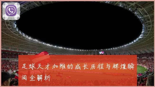 足球天才加维的成长历程与辉煌瞬间全解析