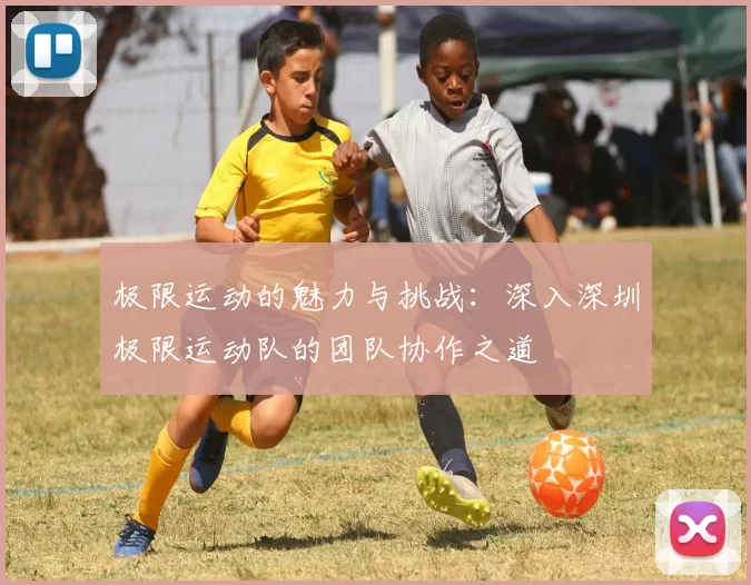 极限运动的魅力与挑战：深入深圳极限运动队的团队协作之道