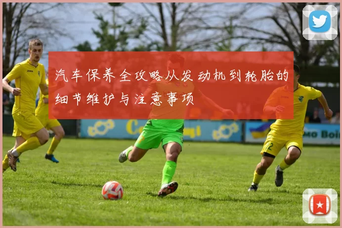 汽车保养全攻略从发动机到轮胎的细节维护与注意事项