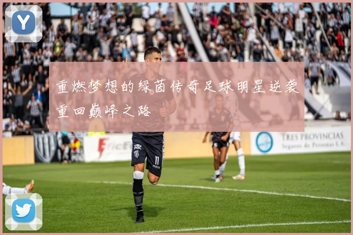 重燃梦想的绿茵传奇足球明星逆袭重回巅峰之路
