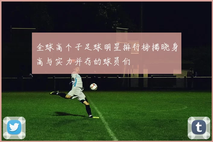 全球高个子足球明星排行榜揭晓身高与实力并存的球员们