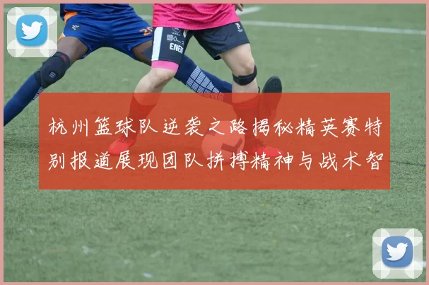 杭州篮球队逆袭之路揭秘精英赛特别报道展现团队拼搏精神与战术智慧