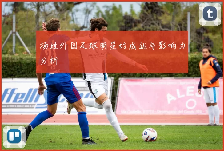 杨姓外国足球明星的成就与影响力分析