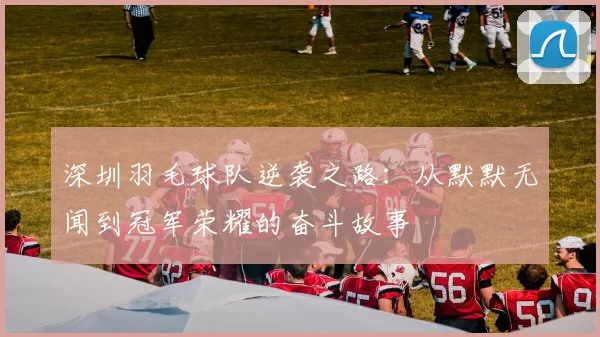 深圳羽毛球队逆袭之路：从默默无闻到冠军荣耀的奋斗故事