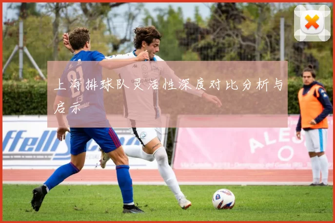 上海排球队灵活性深度对比分析与启示